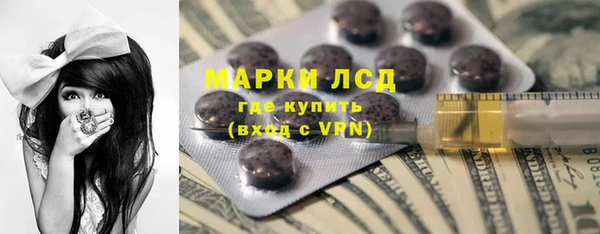 прущие грибы Алзамай