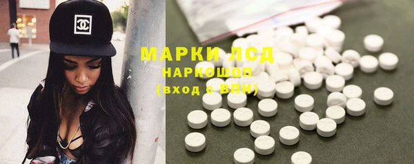прущие грибы Алзамай