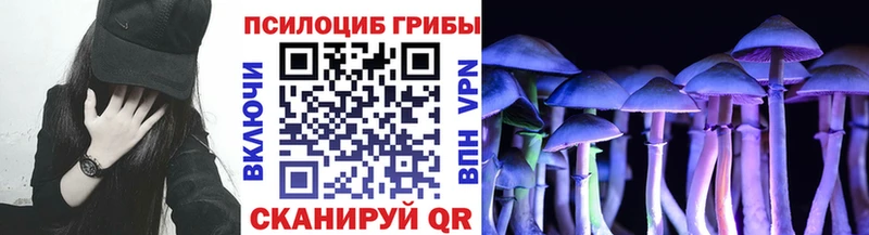 где купить наркотик  Кимры  Псилоцибиновые грибы Psilocybe 